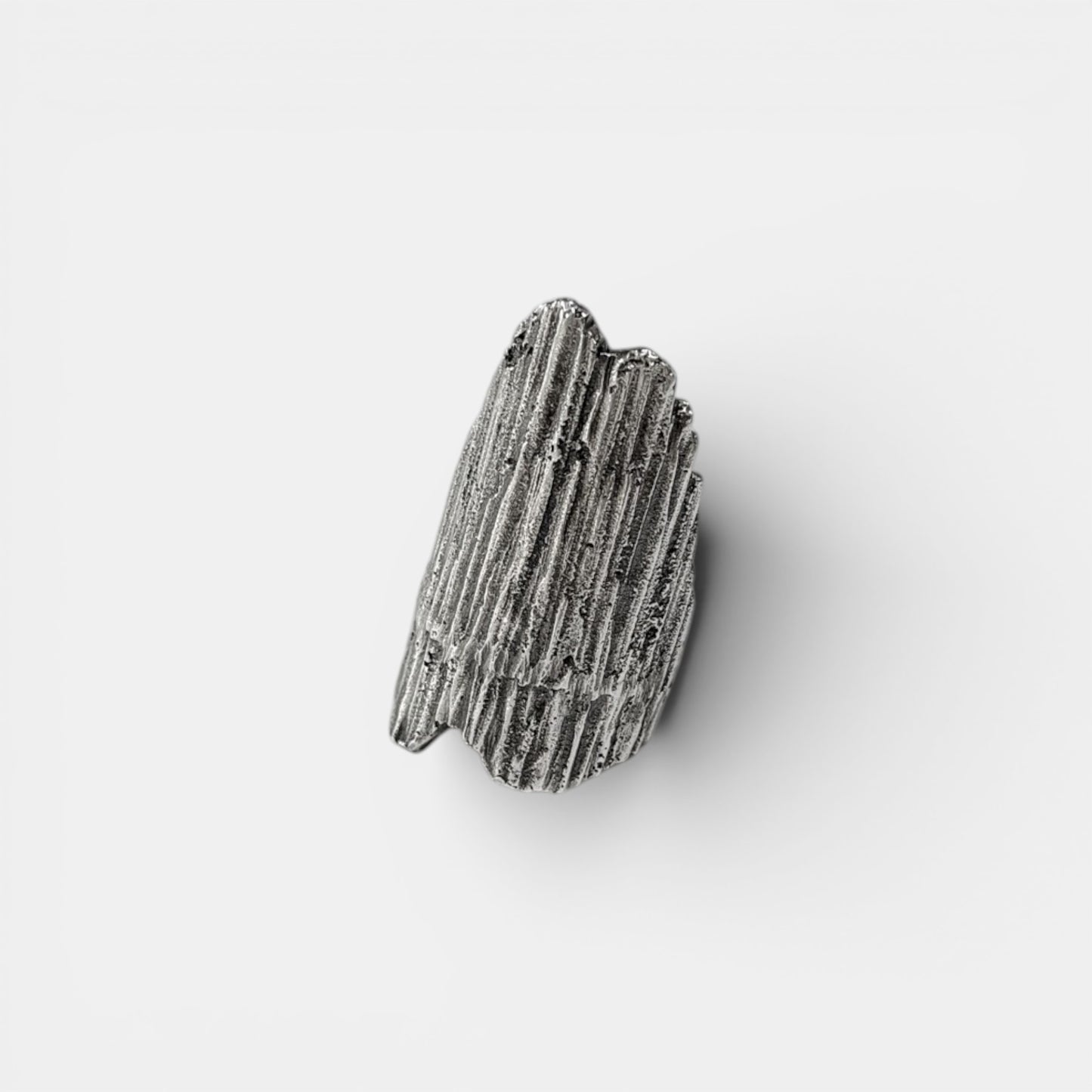 RH010